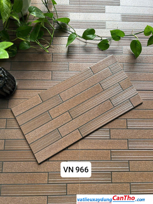 Việt Nhật VN 996